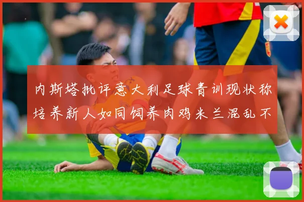 内斯塔批评意大利足球青训现状称培养新人如同饲养肉鸡米兰混乱不堪
